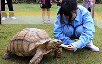 ふれあい動物園