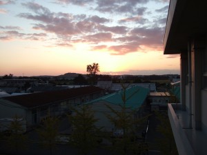 きれいな夕日を見つけた
