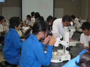 動物科学科の卵子の観察