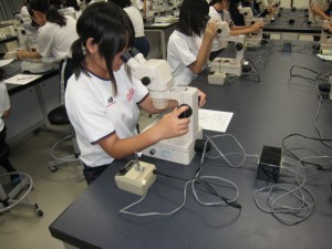 一日体験入学4