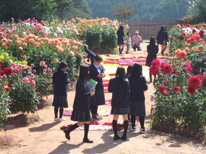 DSCF0484 島根県立出雲農林高等学校