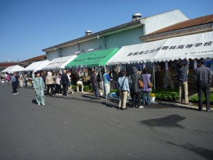 出農みどりの市