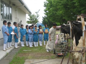 卵巣の確認