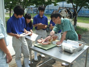 子宮模型で確認しています。