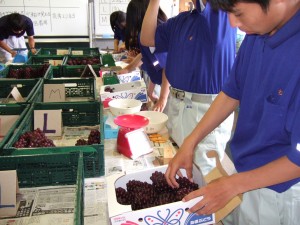 箱詰め作業