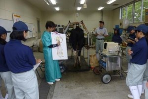 2年生　受精卵移植実習