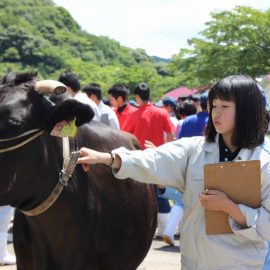 「農業クラブ連盟家畜審査競技県大会」開催!！