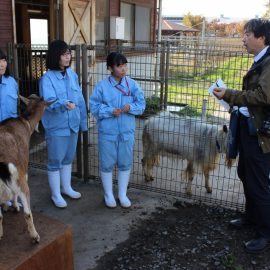 【動物科学科】ヤギのしつけプロジェクトが取材を受けました!！