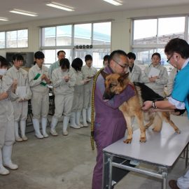【動物科学科】動物衛生講習会を実施しました。