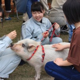 【動物科学科】移動動物園を開催しました。