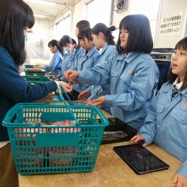 【食品科学科】11月の様々な行事等