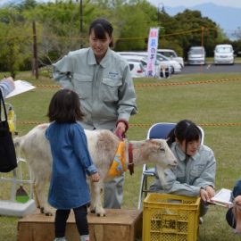 【動物科学科】今年初めての移動動物園を開催しました!！