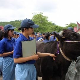 【動物科学科】「農業クラブ 家畜審査競技県大会」三部門制覇！！！