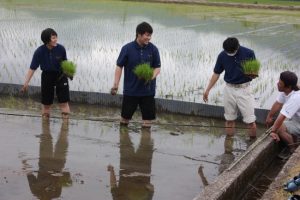 環境科学科１年生 田植え風景