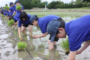 食品科学科１年生 田植え風景