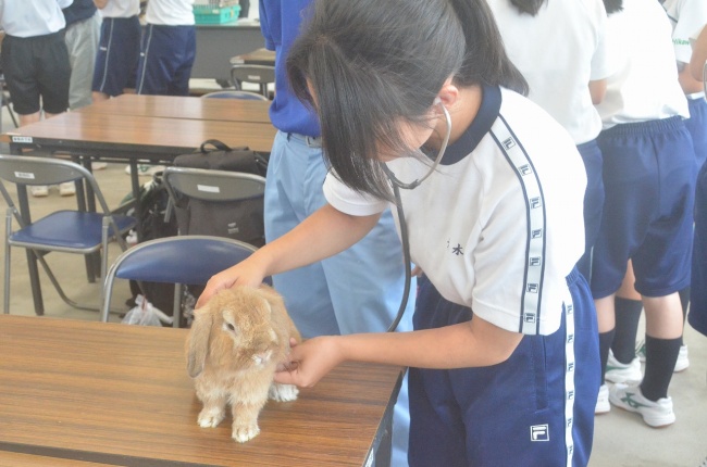 Gコースの様子