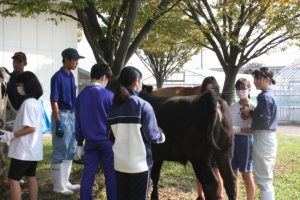 牛の飼育管理