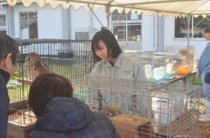 ふれあい動物広場の様子