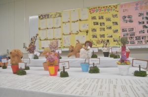 植物科学科展