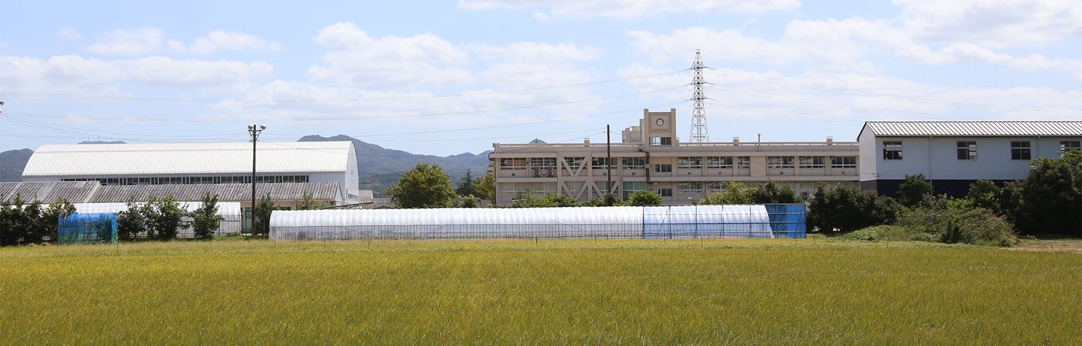 充実した教育環境