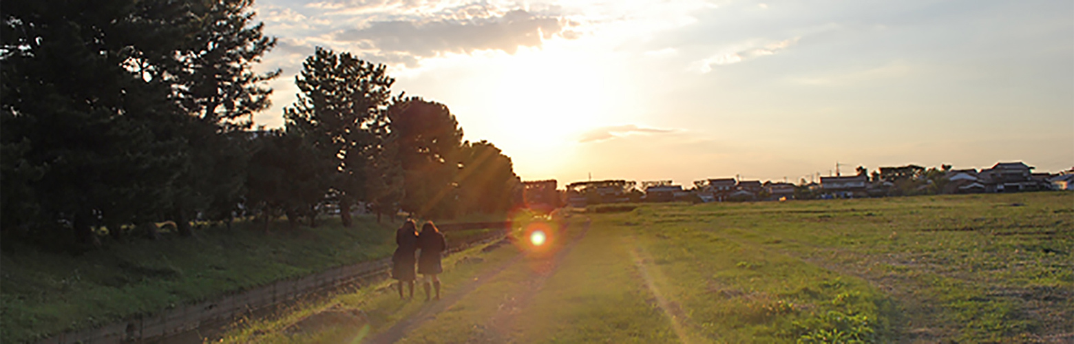 農場の夕日