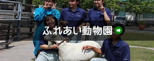 ふれあい動物園