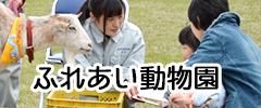 ふれあい動物園