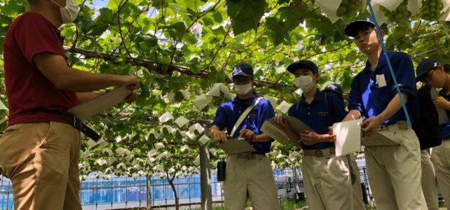 【食品科学科】農業技術センター果樹研究圃場への視察