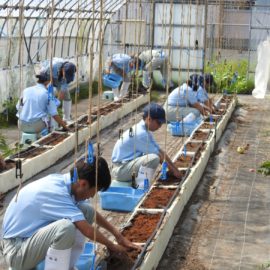 【植物科学科】１年生の夏季休業中の実習を行いました！