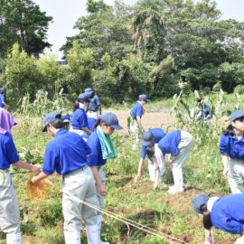 【食品科学科】１年生が夏期実習を行いました！