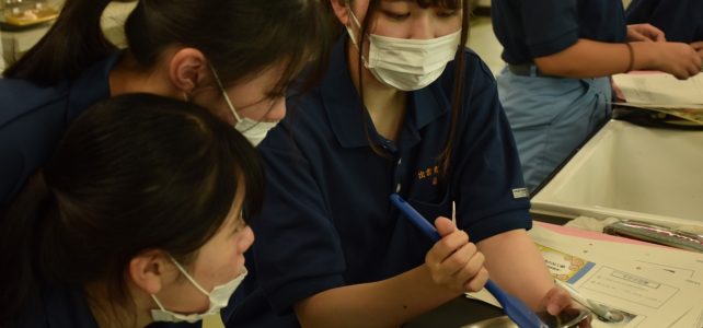 【食品科学科】３年生食品製造の授業の様子