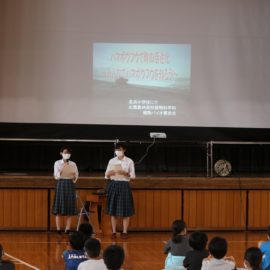 【植物バイオ】長浜小学校においてハマボウフウ勉強会を行いました！