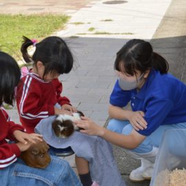 【動物科学科】ふれあい動物広場での交流