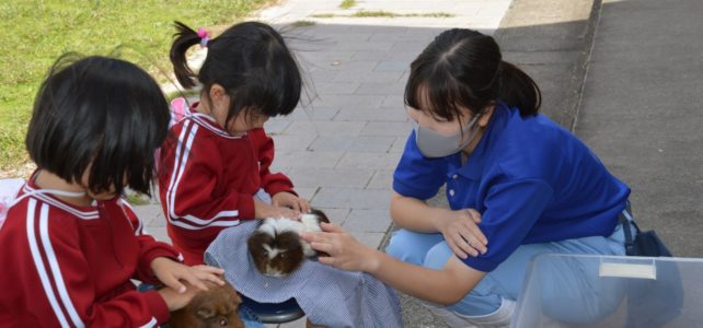 【動物科学科】ふれあい動物広場での交流