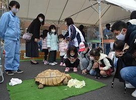 【動物科学科】移動動物園を開催しました。
