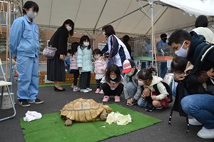 【動物科学科】移動動物園を開催しました。