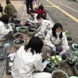 出雲市駅前通フラワーポット花植え作業！