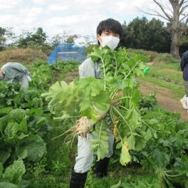 【環境科学科】収穫を行いました