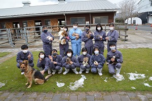 【動物科学科】愛玩動物部門3年生　最後の総合実習について