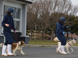 【動物科学科】２年生総合実習「犬のリーダーウォーク」