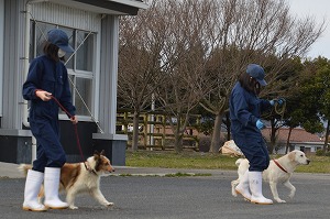 【動物科学科】２年生総合実習「犬のリーダーウォーク」