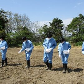 【環境科学科1年】スイートコーンの栽培１