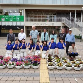 出雲市駅前フラワーポットにお花を植えました！