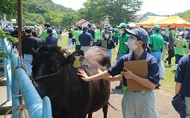 【動物科学科】農業クラブ家畜審査競技県大会開催