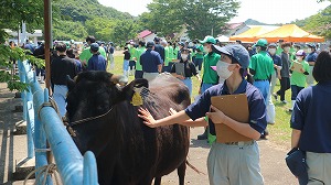 【動物科学科】農業クラブ家畜審査競技県大会開催