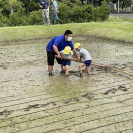 【植物科学科】園児と田植えを行いました！！