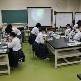 【植物バイオ】１年生 カーネーションの茎頂摘出練習の様子をご紹介します！