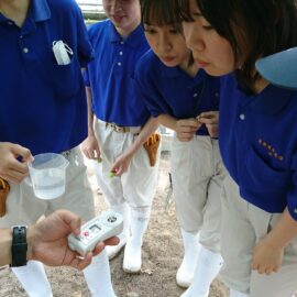 【食品科学科】糖度測定【一人一樹木シリーズ】