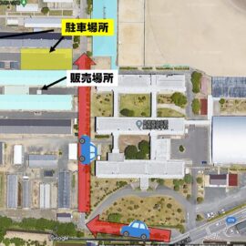 【食品科学科】（予告）シャインマスカットの販売について【一人一樹木シリーズ】