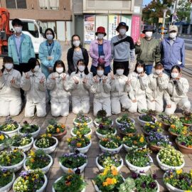 出雲市駅前通りフラワーポットにお花を植えてきました！